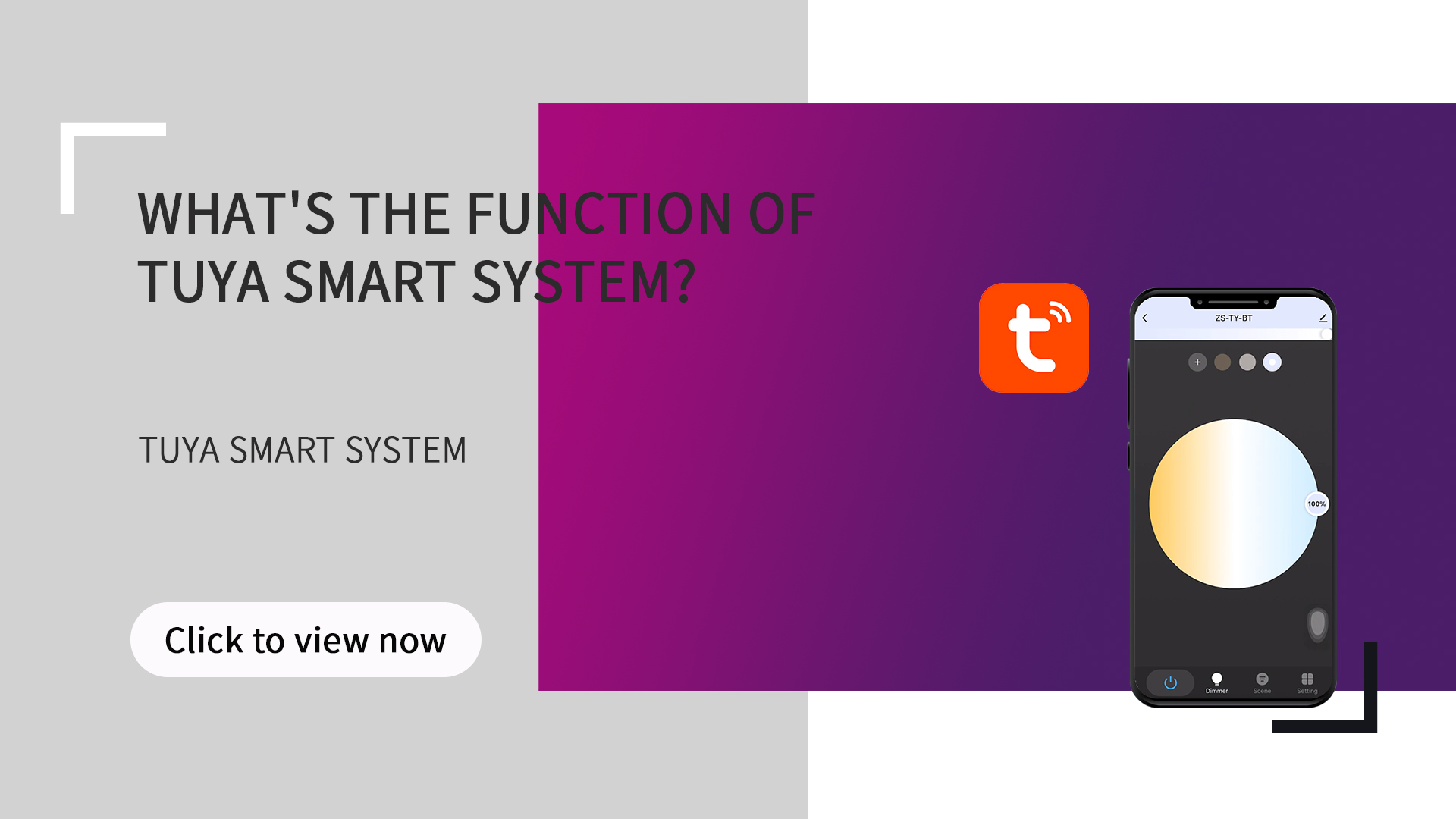 ¿Cuál es la función del sistema inteligente de TUYA?